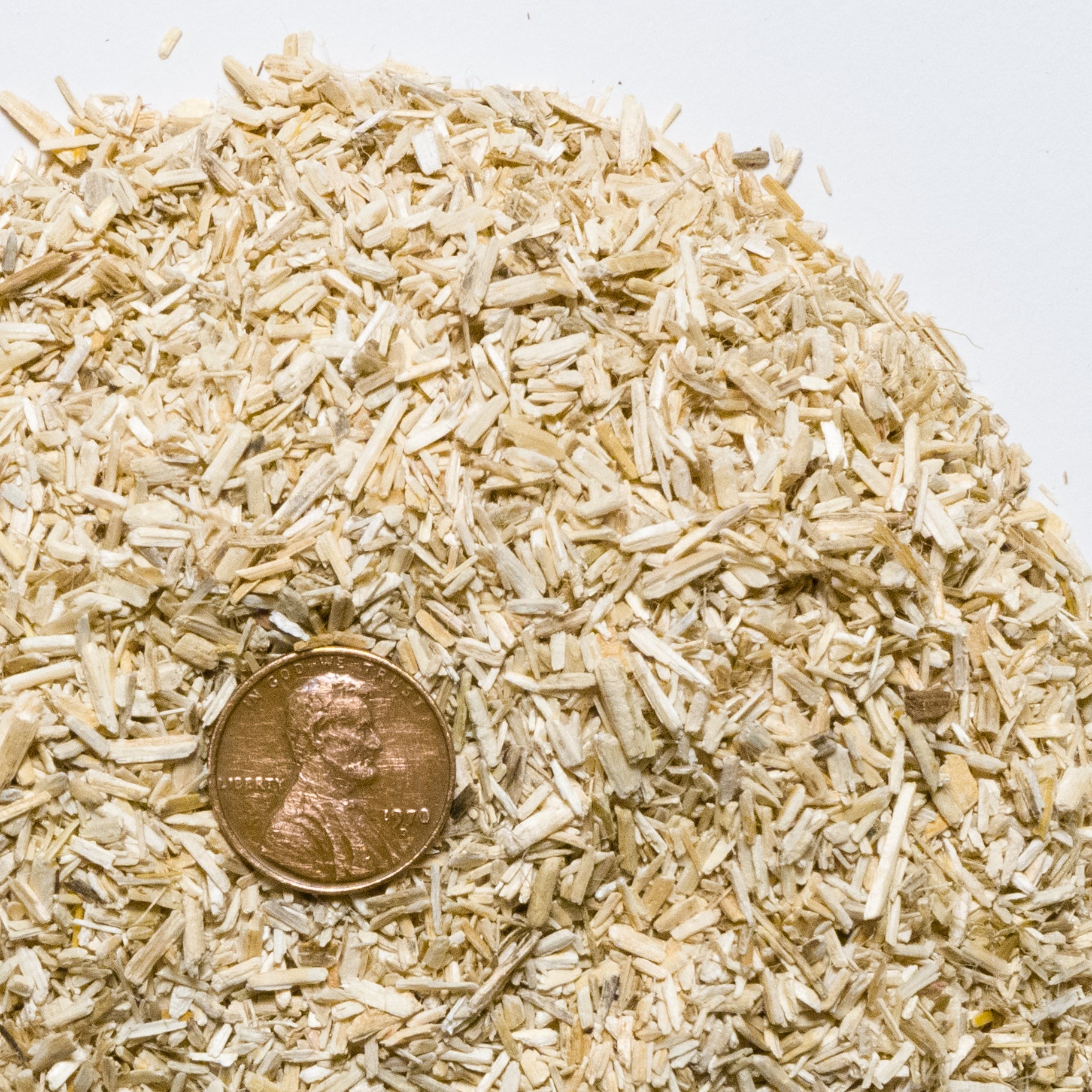 A size comparison of a USA penny on top of a mound of Tiger Fiber hemp animal bedding.